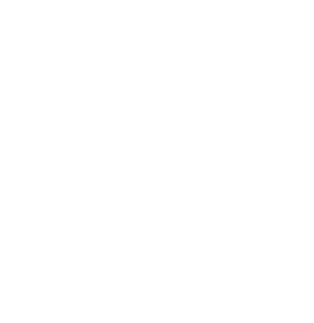 Pegasus